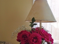 64235CrLeEnh - Beth's Mother's Day Roses.jpg